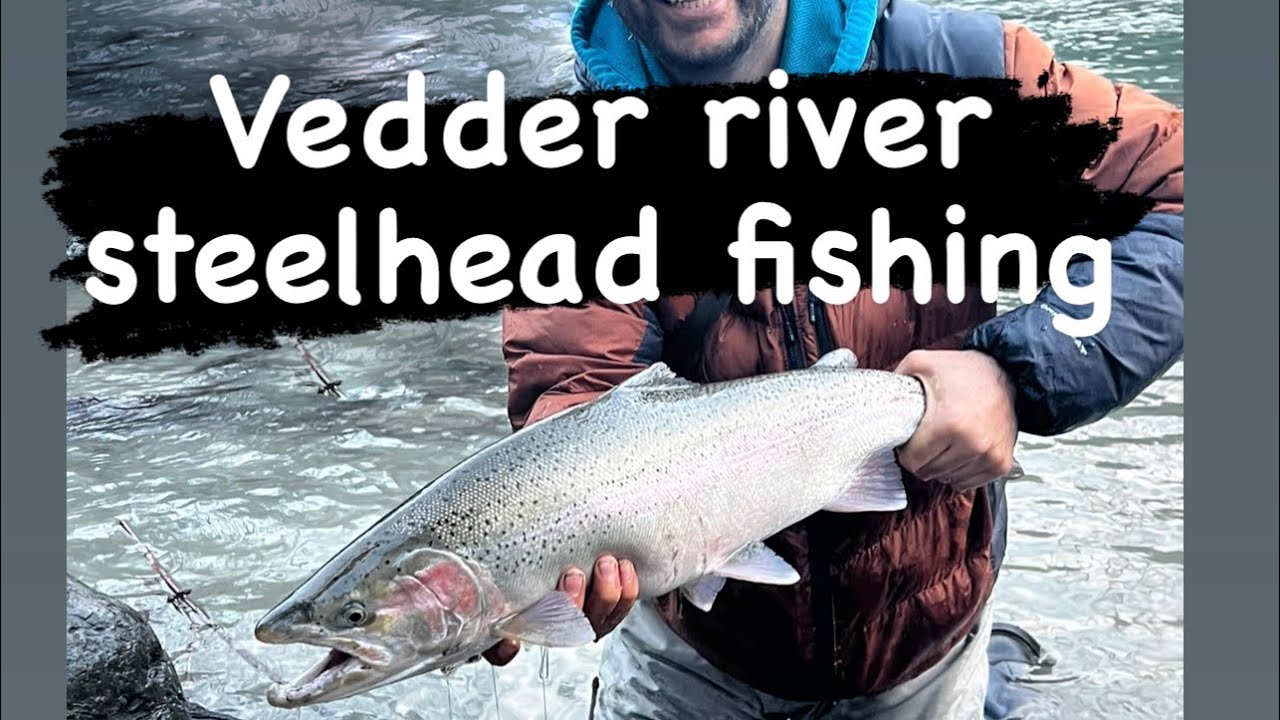 Steelhead fishing Vedder river chilliwack YouTube