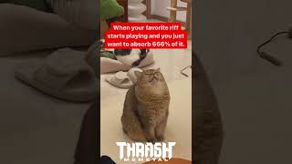 Name a better feeling, we’ll wait… #MetalMemes #HeavyMetal #HeavyMetalMemes #Kitty