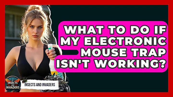 What To Do If My Electronic Mouse Trap Isn't Working? - Insects and Invaders