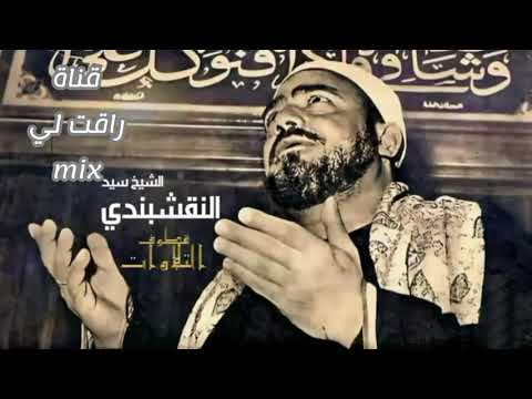 الشيخ سيد النقشبندي يبدع في مديح يا امة الهادي