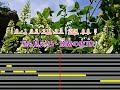 俺でいいのか ~ 坂本冬美 melody