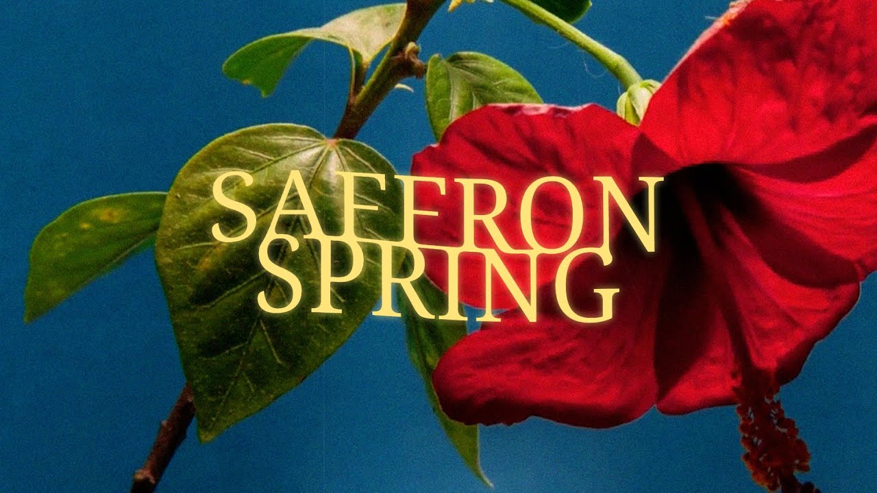 Guarda Joy Forever - "Saffron Spring" (Official Lyric Video) su YouTube Guarda Joy Forever - "Saffron Spring" (Official Lyric Video) su YouTube