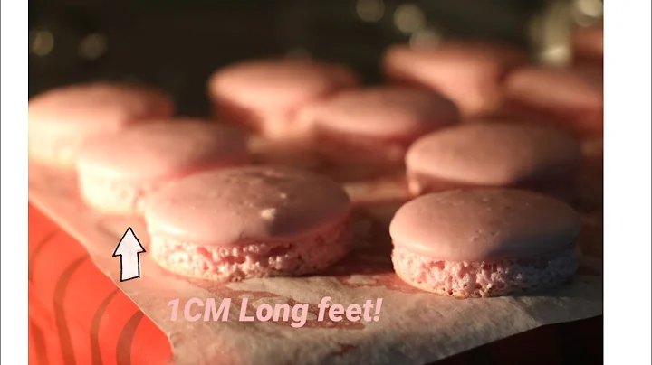 How to make fool-proof Macarons with only 3 ingredients - A trick that  no chef will ever share!