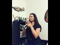 High hopes by panic at the disco  piccolo trumpet solo