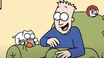 A Day in the Life of a Cat | Simon