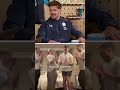 Henry Slade’s behind-the-scenes view of Tommy Freeman’s TikTok dance 🕺 | @o@o2ukofficialWearTheRose