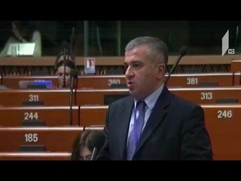 ევროსაბჭოს საპარლამენტო ასამბლეამ ოთხოზორია-ტატუნაშვილის სიას მხარი დაუჭირა