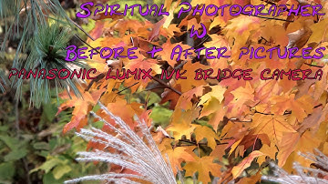 Before & After 4K Pictures w Panasonic Lumix Bridge cameras