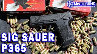 Sig Sauer P365 Review, Shoot, and Unboxing.  Possibly the best concealment gun?