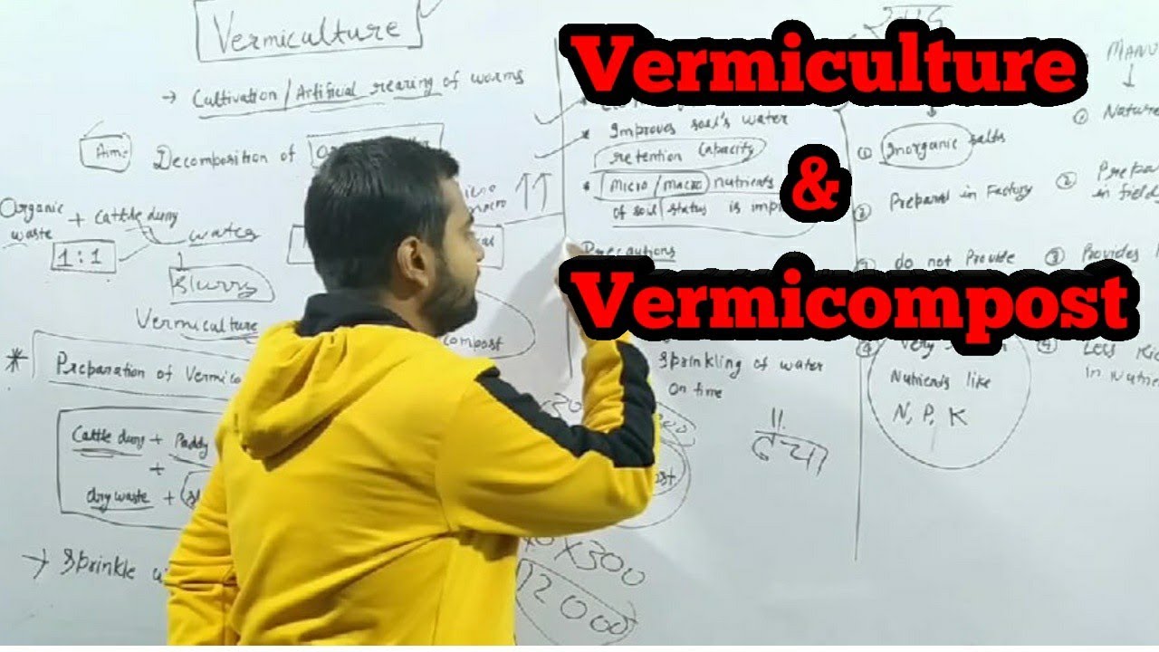 Vermiculture Vermicompost Difference Between Fertilizer And Manure vermiculture-vermicompost-difference-between-fertilizer-and-manure