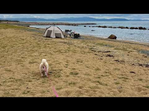 自転車に乗って犬と散歩　レストラン「テント」編2023/11/12