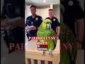 PARROT FUNNY#STORY# shortvideo#youtub#foryou