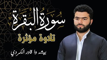 سورة البقرة - تلاوة مؤثرة 😭 للقارئ بيشه وا قادر الكردي | Surah Al Baqarah - Peshawa Qadir Al Kurdi