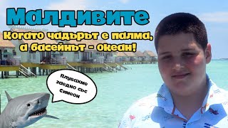 : :    ,   - ! (  )