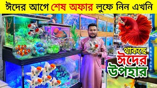 Aquarium Price In Bangladesh 🐠Aquarium Fish Price In BD 😱 Aquarium Fish Wholesale Market Katabon by Rony rahman’s show 4,044 views 1 day ago 17 minutes