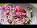 猫ちゃん用クリスマスケーキ作ったら4分で完食!!～kitten3