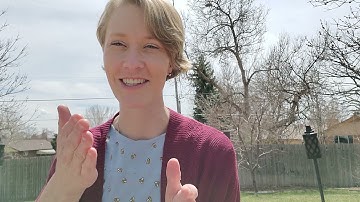 Installing a Package of Bees in My Top Bar Hive (TBH)