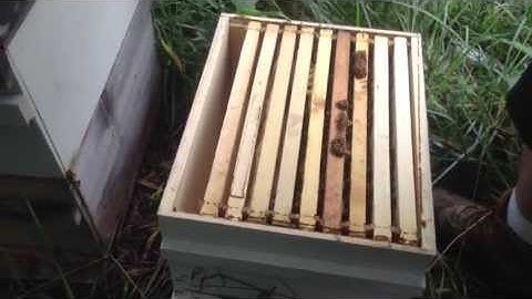 #5•The Secret Life of Uncle Dave