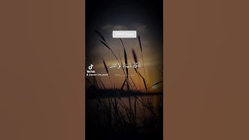 ياسر الدوسري| سورة البقرة| الاية142-143 #quran #القرآن_الكريم #سورة_البقرة #ياسر_الدوسري #islam