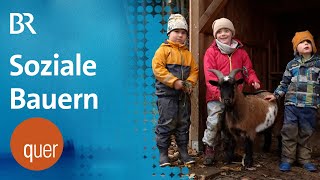 Soziale Landwirtschaft scheitert an Bürokratie