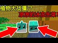 我的世界合集:植物大战僵尸,冰冰凉凉的冰冻生菜!