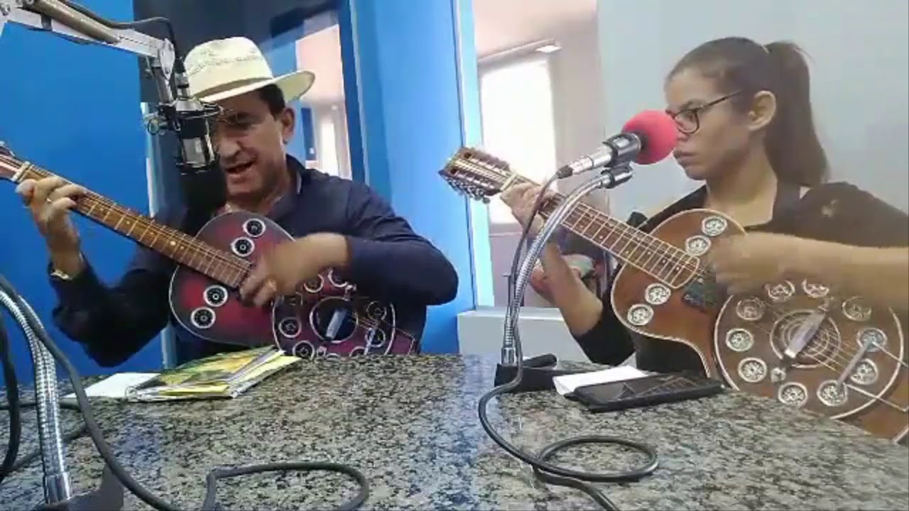 Dançando Com As Borboletas - Fabiane Ribeiro - Traça Livraria e Sebo