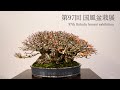 [4K ロング] 97回 国風展 前期