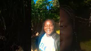 Download Lagu He is the fairest of all,,, subscribe 🙏❤️ MP3