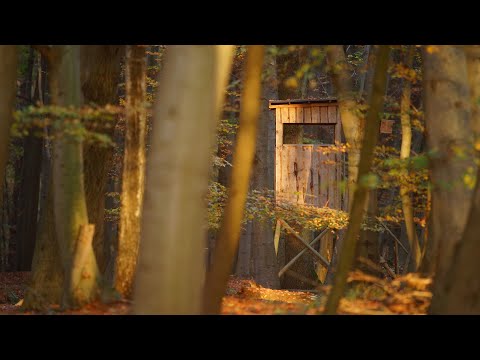 Naturschutz konkret: Jagd