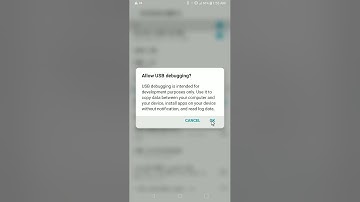LG Stylo 5 Developer Options & USB Debugging - How to turn on