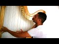 The nutcracker harp cadenza antonio ostuni