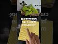 പെട്ടെന്ന് തന്നെ ക്ലീൻ ചെയ്യാൻപറ്റും...#diy#cleaningtips#scotchbrite#kitchen#tipsandtricks#shorts