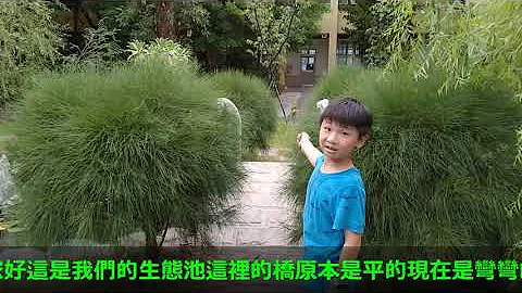 第一集校園生態 - 天天要聞