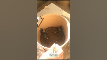 Sudoku Drum Polish & Waxing the Drum shell bearing edge process