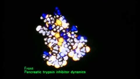 First_Movie_of_Protein_Molecular_Dynamics_1979