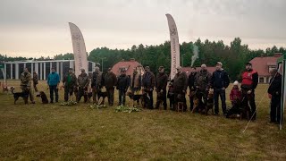 IV Республиканская лично-командная выставка охотничьих собак группы пород гончих 18.09.2022 Минск