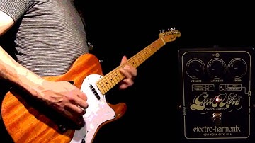 EHX electro-harmonix Good Vibes demo w/ Big Muff Pi