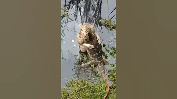 قلبه معي وقلبي معاه 