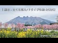 藤井 風 - 真っ白（ 熊本 - さくら巡り/ドライブの旅-2025）/ βillyMix.vol.310