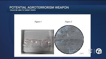 Chinese nationals accused of smuggling pathogen into U.S. for work at U-M