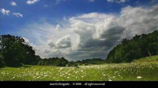 greenfields of france, by peter and evert jan