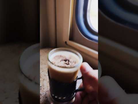 О том как #ревизор проводника "достал" #железнаядорога #train #ржд #поезд