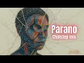 фрози (Frozy) – Parano ft. DDB | Parano Remix (All Versions) | Chillstep Mix 🎧✨