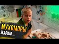 Жарим &quot;МУХОМОРЫ&quot;. Мне не понравились...... Грибы зонтики приготовление)