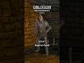 Oblivion PSP vs Original vs Remaster oblivionremastered 