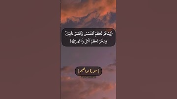 سورة ابراهيم الآية ٣٢ الى ٣٤ بصوت الشيخ محمد صديق المنشاوي