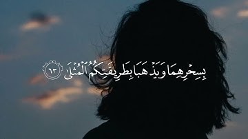 سورة طه الآية 56 إلى الآية 69