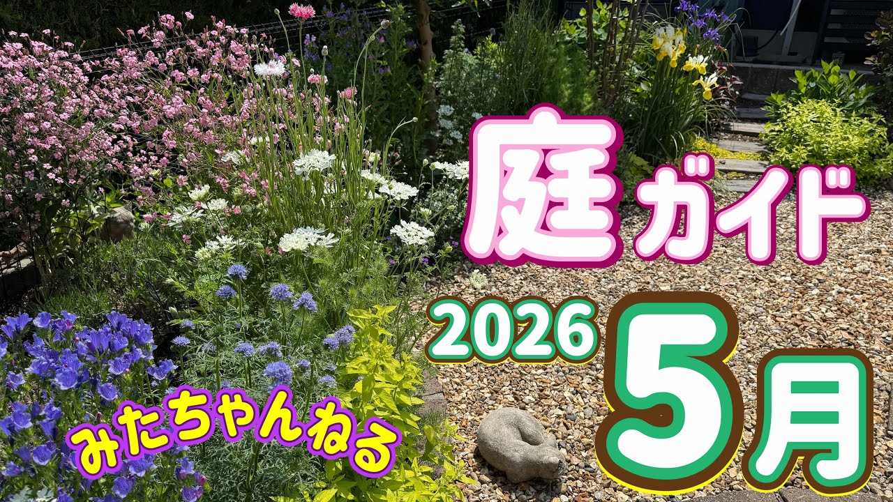 5月庭ガイド①】種まき苗が開花シーズンです🌸 - YouTube