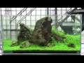 [ADAview] NAギャラリー レイアウト制作ドキュメント -90cm×2編-
