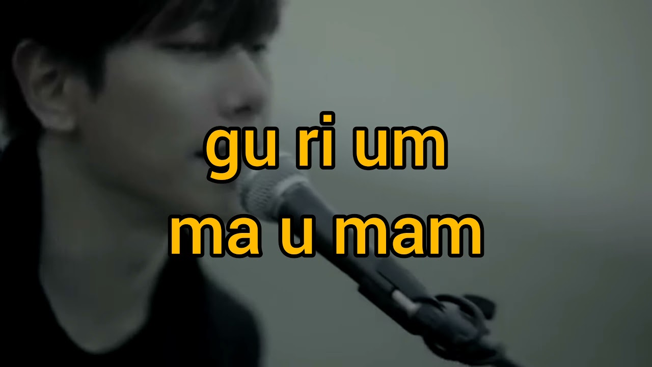 Easy Lyrics Wild Flower by Park Hyu Shin YouTube